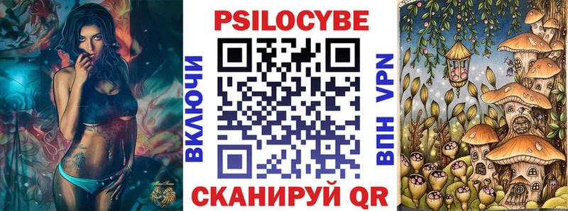 где можно купить   это как зайти  Галлюциногенные грибы Psilocybe  Сафоново 