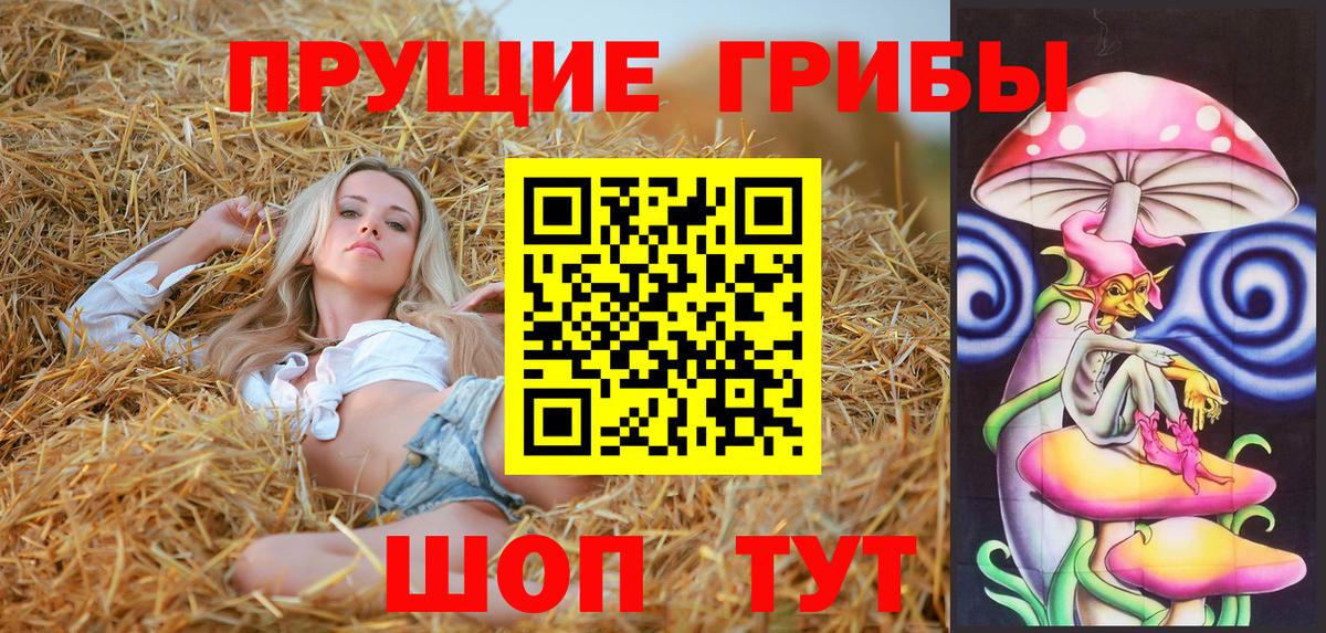 Псилоцибиновые грибы прущие грибы  Вход с VPN  Псилоцибиновые грибы Psilocybine cubensis  Сафоново 